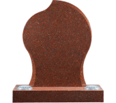 DHS01