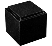 VP19